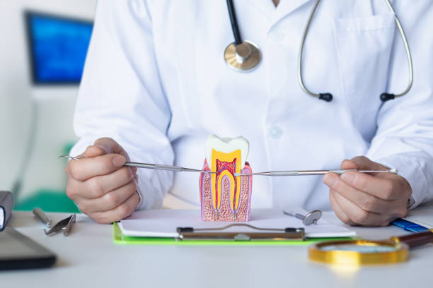 Best Emergency Treatment for Toothache in Steelevle, IL